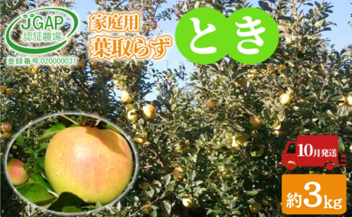 10月発送 家庭用 葉取らず とき 約 3kg【 訳あり 】鶴翔りんごGAP部会 青森県産 津軽産 リンゴ 林檎 トキ 果物類 フルーツ りんご 2120665 - 青森県鶴田町