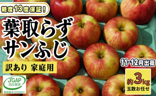 11～12月発送【 糖度保証 】家庭用 葉取らず サンふじ 約 3kg【 訳あり 】鶴翔りんごGAP部会 青森県産 津軽産 リンゴ 林檎 果物 フルーツ デザート 甘味 酸味 食感 2120666 - 青森県鶴田町