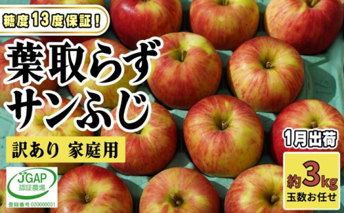 1月発送【 糖度保証 】家庭用 葉取らず サンふじ 約 3kg【 訳あり 】鶴翔りんごGAP部会 青森県産 津軽産 リンゴ 林檎 果物 フルーツ デザート 甘味 2120667 - 青森県鶴田町