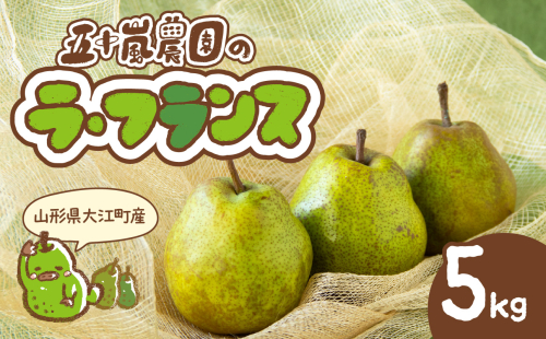 《先行受付》大江町産 山形ラ・フランス 5kg 13～20玉 L～5L【2025年11月中旬頃～発送予定】048-005 2120707 - 山形県大江町