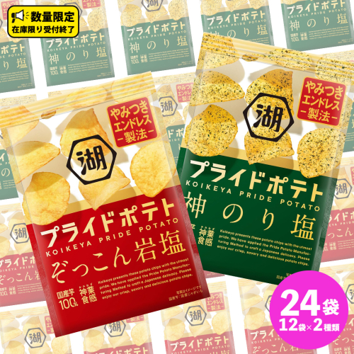 湖池屋 プライドポテト55g 2種類 詰め合わせ セット ポテチ お菓子 おかし スナック ポテトチップス のり塩 塩 ポテト 数量限定 まとめ買い 2120950 - 茨城県牛久市