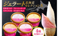 ジェラート北海道セレクションA（北海道ミルク2個・フレッシュチーズ2個・生キャラメル2個・さとほろいちご2個）