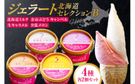 ジェラート北海道セレクションB（北海道ミルク2個・余市ぶどう”キャンベル”2個・生キャラメル2個・夕張メロン2個）