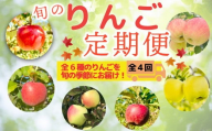 【先行予約】飯山 季節のりんご定期便 全4回（7-A28）
