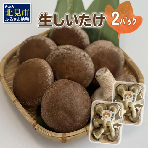 北海道産 生しいたけ(菌床) 2パック ( きのこ キノコ 椎茸 シイタケ )【038-0006】 2121174 - 北海道北見市
