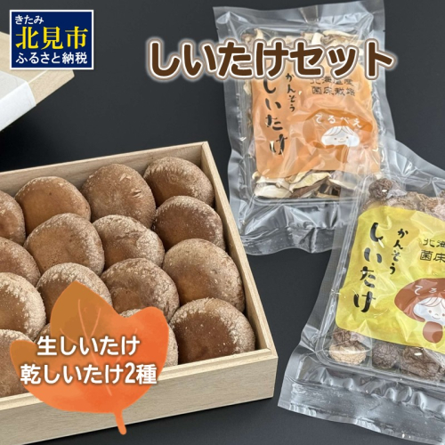 【木箱入】北海道産 生しいたけ(菌床) 乾しいたけ(ひと口・スライス)セット ( きのこ キノコ 椎茸 シイタケ )【038-0007】 2121175 - 北海道北見市
