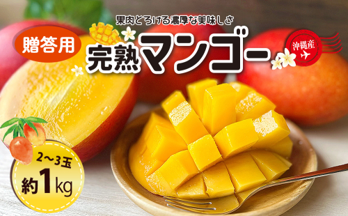 ＜熱帯資源植物研究所＞贈答用マンゴー１kg 2121360 - 沖縄県うるま市