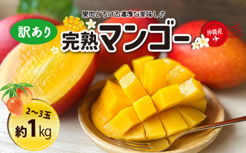 ＜熱帯資源植物研究所＞訳ありマンゴー１kg 2121425 - 沖縄県うるま市
