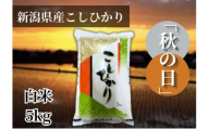 【令和6年産】新潟県産こしひかり「秋の日」（白米5kg）新潟県の美味しいお米。