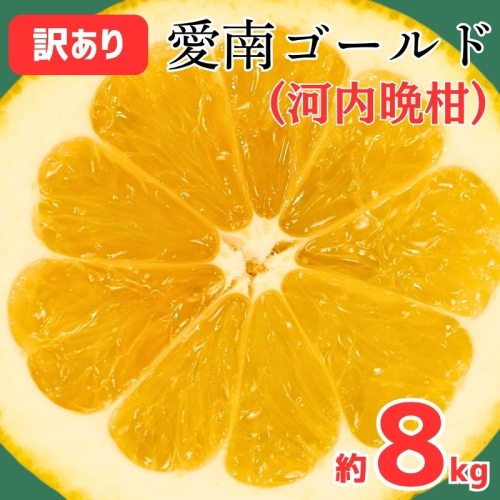 訳あり 愛南ゴールド ( 河内晩柑 ) 8kg 9000円  かわちばんかん ミカン わけあり  家庭用 あいなん ゴールド 蜜柑 和製 グレープフルーツ 産地直送 国産 農家直送 期間限定 数量限定 フルーツ 果物 柑橘 傷 不揃い 規格外 愛媛県 愛南町 愛なんよ  2121667 - 愛媛県愛南町
