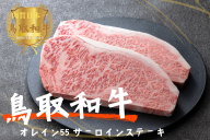 鳥取和牛オレイン55 サーロインステーキ2枚（計500g）牛肉 やまのおかげ屋 KF1288 1170
