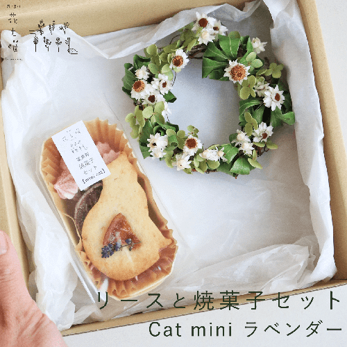 富良野 花七曜 リースと焼菓子セット Cat mini ラベンダー ホワイト ◆ ドライフラワー 2121721 - 北海道上富良野町