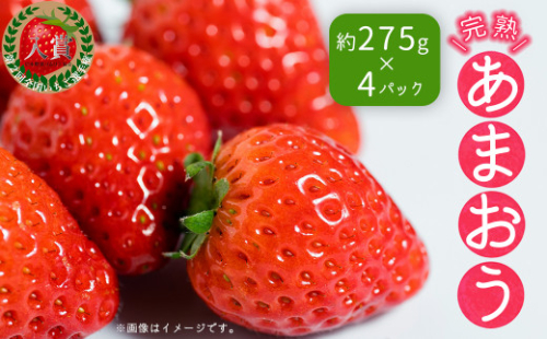 3Z4-S 【先行予約／2027年出荷】暖家のいちご 完熟あまおう 3月下旬以降発送 (約275ｇ×4パック）