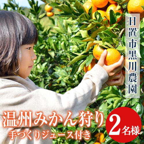 No.1216 ＜先行予約受付中＞温州みかん狩り(2名分)＆人気のジュース付き(2本)不知火 みかん狩り 体験 日置市 果物 果実 フルーツ 柑橘 みかん ミカン ジュース ミカンジュース 期間限定 ふるさと納税 日置市 みかん狩り 体験 日置市 果物 果実 フルーツ 柑橘 みかん ミカン 【黒川農園】 2121848 - 鹿児島県日置市