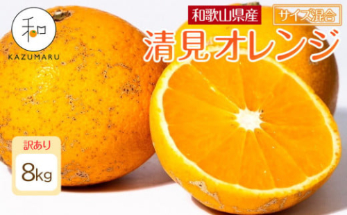 訳あり 森本農園の手選別 清見オレンジ 8kg 和歌山県産 サイズ混合 ［北海道・沖縄・離島配送不可］［RN25］［2026年2月上旬から5月中旬頃順次発送予定］ 2121926 - 和歌山県那智勝浦町