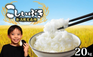 【先行予約】 令和7年産 こしいぶき 20kg コシヒカリ こしひかり 遺伝子を引き継ぐ ご飯 備蓄 コメ お米 米 こめ しんまい 新潟産 新潟米 新潟県 新潟 新発田 新発田市 国産 新発田市産 斗伸 toushin040