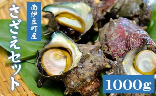 さざえセット[A]　【 さざえ サザエ 貝 海鮮 BBQ つぼ焼き 刺身 バーベキュー ギフト 】<AG-2>