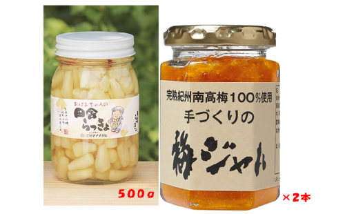 M330　梅ジャム２本・ことこばあちゃんの田舎らっきょ５００ｇセット 2122820 - 和歌山県和歌山県庁