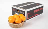 M440　超熟屋根掛けみかん　黒特選１０㎏