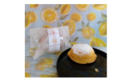 紀の宝マイヤーレモンケーキ～笑み結び～10個入り【1543950】