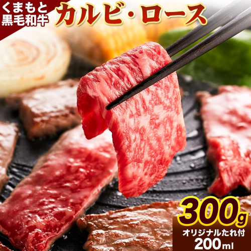 牛肉 くまもと黒毛和牛 カルビ ロース 焼肉 食べ比べセット 300g 150g × 2《30日以内に出荷予定（土日祝除く）》 熊本県 長洲町 くまもと黒毛和牛 黒毛和牛 冷凍 焼肉 カルビ ロース たれ付き 送料無料 富士商株式会社 2123166 - 熊本県長洲町