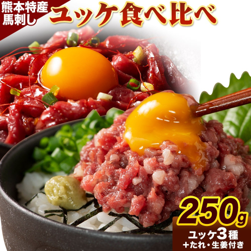 熊本 特産 馬刺し ユッケ 食べ比べ セット 250g ふじ馬刺し 国産馬刺し《30日以内に出荷予定（土日祝除く）》 熊本県 長洲町 くまもと黒毛和牛 黒毛和牛 冷凍 馬肉 馬刺し 馬 ユッケ ネギトロ たれ 生姜付き 送料無料 富士商株式会社 2123167 - 熊本県長洲町