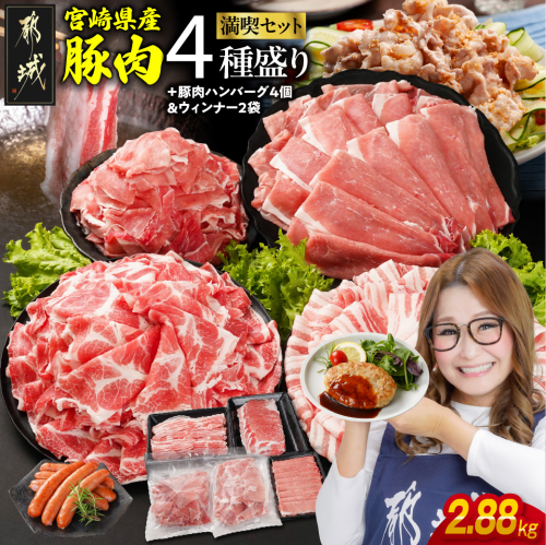 宮崎県産豚肉バラエティ2.88kgセット_14-N201-ESHW 2123170 - 宮崎県都城市