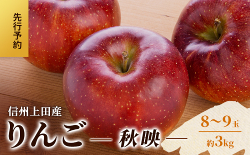 りんご 信州上田産 秋映 家庭用 約3kg 8～9玉 リンゴ 林檎 3kg 果物 くだもの フルーツ デザート 旬の果物 旬のフルーツ 傷 長野県 長野 上田市 2123197 - 長野県上田市