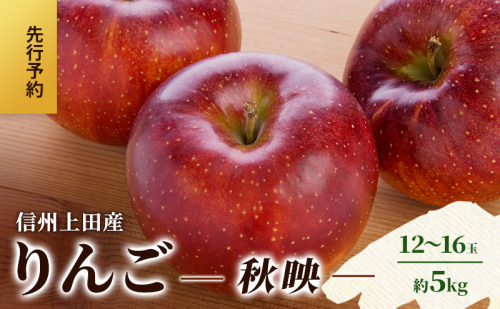 りんご 信州上田産 秋映 家庭用 約5kg 12～16玉 リンゴ 林檎 5kg 果物 くだもの フルーツ デザート 旬の果物 旬のフルーツ 傷 長野県 長野 上田市 2123198 - 長野県上田市