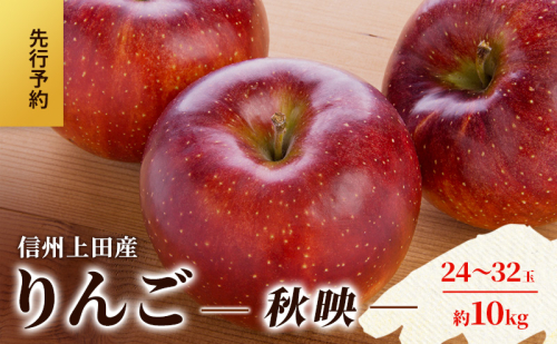 りんご 信州上田産 秋映 家庭用 約10kg 24～32玉 リンゴ 林檎 10kg 果物 くだもの フルーツ デザート 旬の果物 旬のフルーツ 傷 長野県 長野 上田市 2123199 - 長野県上田市