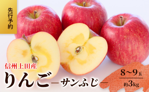 りんご 信州上田産 サンふじ 家庭用 約3kg 8～9玉 リンゴ 林檎 3kg サンフジ 果物 くだもの フルーツ デザート 旬の果物 旬のフルーツ 傷 長野県 長野 上田市 2123200 - 長野県上田市