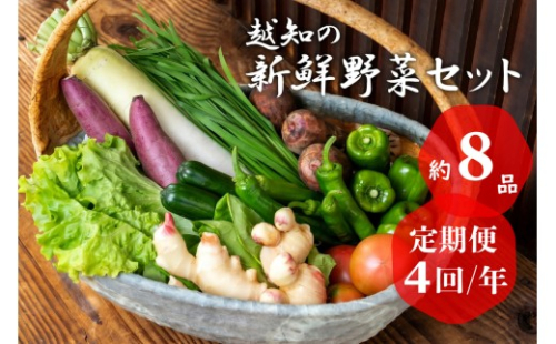 越知産市の季節の野菜セット(年4回発送)　産地直送　旬野菜