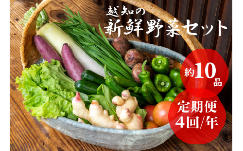 越知産市の季節の野菜セット(年4回発送)　産地直送　旬野菜