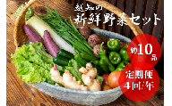 越知産市の季節の野菜セット(年4回発送)　産地直送　旬野菜