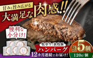 【全12回定期便】　【牧草牛×放牧豚】ハンバーグ 5個 《厚真町》【GOODGOOD株式会社】ハンバーグ 牛肉 豚肉 合い挽き 小分け 冷凍配送 北海道 [AXBP029]