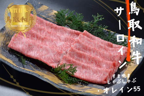鳥取和牛オレイン55 サーロインしゃぶしゃぶすき焼き300g 牛肉 やまのおかげ屋 KF1257 1168 2123718 - 鳥取県江府町