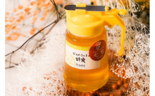 【国産蜂蜜】くろがねもち蜂蜜４５０ｇパッカー容器 2123795 - 岐阜県大垣市