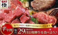 飛騨牛極 定期便 毎月29日(肉の日) 飛騨牛を食べよう!半年バージョン 牛肉 和牛 飛騨市推奨特産品 [ごちそう] 贅沢飛騨牛