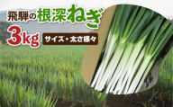 《令和7年産先行予約》 訳あり 飛騨の根深ねぎ 3kg 薬味からお鍋までおすすめ！白ねぎ 白ネギ サイズ・太さ様々 不揃い 訳アリ ワケアリ 野菜 産地直送 国産 syun83