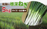 《数量限定！特別寄附額にてご案内》 訳あり 飛騨の根深ねぎ 5kg 薬味からお鍋までおすすめ！白ねぎ 白ネギ サイズ・太さ様々 不揃い 訳アリ ワケアリ 野菜 産地直送 国産 syun84