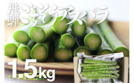 2025年産 根本までムシャムシャ食べれるアスパラ 水村農園 飛騨のきれいな水と澄んだ空気が育んだ柔らか甘いアスパラガス　L~2L 1.5kg グリーンアスパラ アスパラ [B0201x] syun79