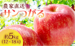 【お申込み受付:2025年8月31日まで】【発送予定：2025年9月5日〜9月15日】 人気の青森県産りんご 白神山地の麓、津軽鰺ヶ沢町のサイキチ農園のサンつがる約5kg(12〜18玉)をクール便でお