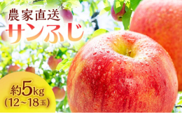 【お申込み受付：2025年12月15日まで】【発送予定：2025年11月10日〜12月31日】人気の青森県産りんご 白神山地の麓、津軽鰺ヶ沢町のサイキチ農園のサンふじ約4〜5kg(12〜18玉)を生産