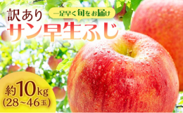 【お申込み受付:2025年9月30日まで】【発送予定：2025年9月25日〜10月10日】 人気の青森県産りんご 白神山地の麓、津軽鰺ヶ沢町のサイキチ農園の 訳あり サン早生ふじ（弘前ふじ）約10kg