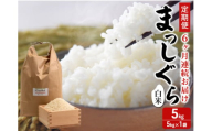米 定期便 6ヶ月 令和7年産 まっしぐら 白米 5kg 1袋 精米 こめ お米 おこめ コメ ご飯 ごはん 令和7年 H.GREENWORK 6回 半年 お楽しみ 青森 青森県 鯵ヶ沢町