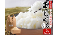 新米 定期便 3ヶ月 令和7年産 まっしぐら 白米 5kg 1袋 米 精米 こめ お米 おこめ コメ ご飯 ごはん 令和7年 H.GREENWORK 6回 半年 お楽しみ 青森 青森県 鯵ヶ沢町