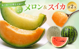 【配送不可：沖縄・離島】【出荷予定：7/20〜8/20 津軽産 減農薬栽培「メロン＆スイカ」セット(各1ケ）お届け！！】甘くてジューシー、とろける食感が魅力の「糖度16度以上」メロンと、甘くてみずみず