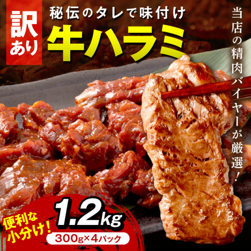 【訳あり】牛ハラミ（サガリ） 秘伝のタレ込み 味付け肉 1.2kg（300g×4パック）
 2125093 - 京都府京丹後市