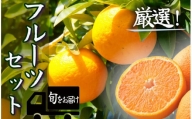 湯の花　旬のフルーツセット　【みかん 果物 フルーツ 旬 柑橘 甘い 新鮮 定期便】