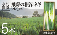 《令和7年産先行予約》 水村農園 飛騨の根深ネギ プレミアム ねぎ 5本 飛騨産野菜 旬の野菜 野菜 ネギ 産地直送 syun81